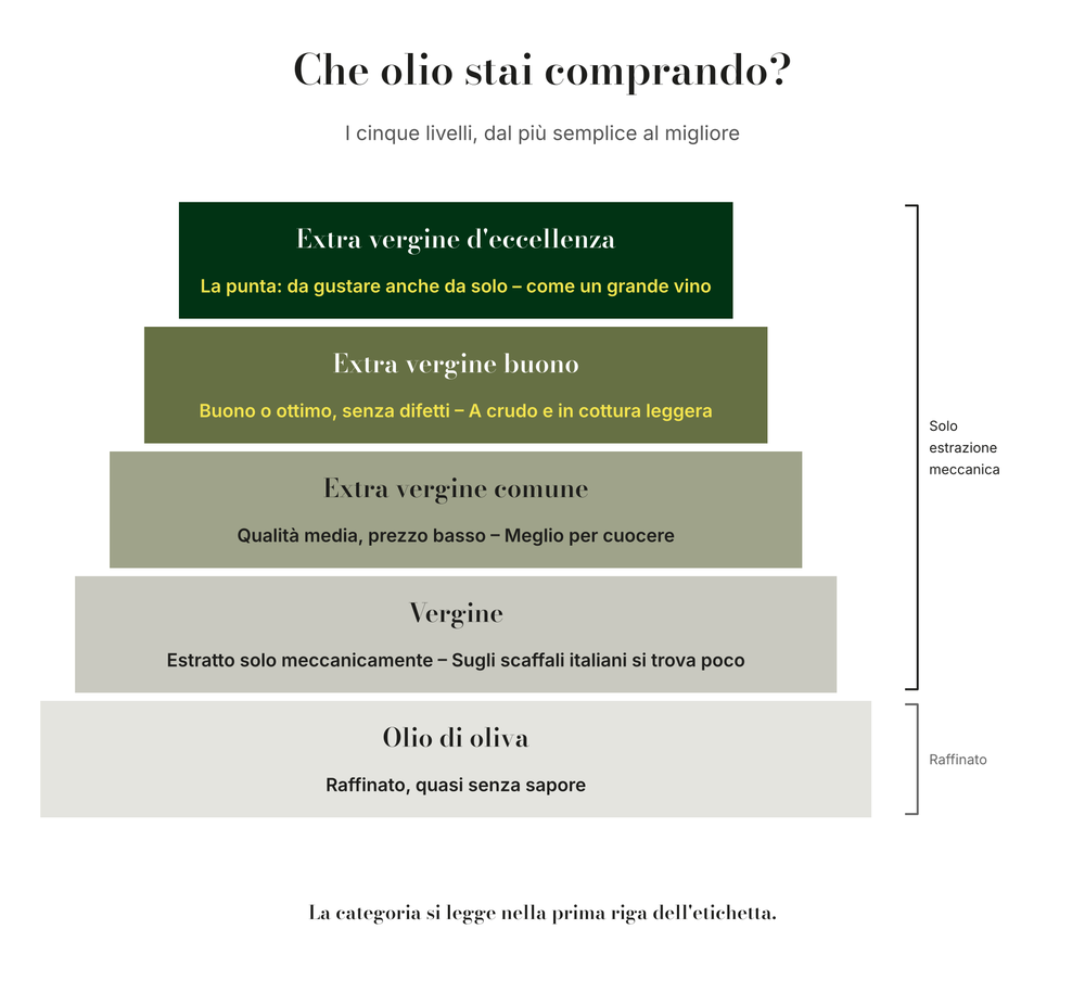 Piramide dei cinque livelli dell'olio: olio di oliva, vergine, extra vergine comune, extra vergine buono, extra vergine d'eccellenza